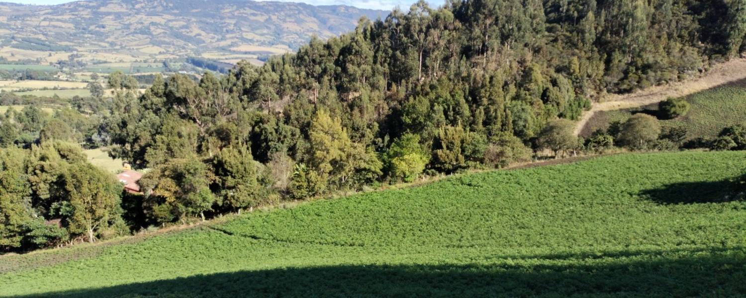 Imagen de referencia del proyecto Línea de Transmisión La Loma – Sogamoso a 500 kV